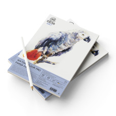 Альбом-склейка для акварелі А4 "Color Pad" 20 арк 99IDEA9 (845074)