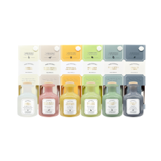 Набор аромадифузоров аромасет AROMA NATURALS, 6 х 100 мл (ANSET)