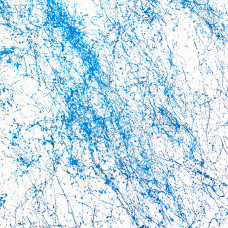 Краска Montana Marble акриловая эффект мрамора синяя (493942)