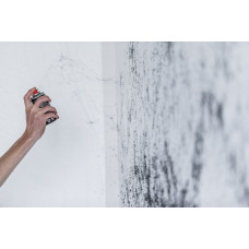 Краска Montana BLACK SPIDER с эффектом паутины черный паук (325489), 150 мл