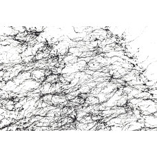 Краска Montana BLACK SPIDER с эффектом паутины черный паук (325489), 150 мл