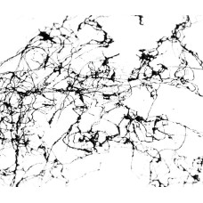 Краска Montana Marble акриловая эффект мрамора черная (415357)