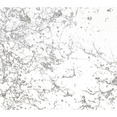 Аерозольна фарба з ефектом мармуру MTN PRO Marble Effect Silver срібло (791315)